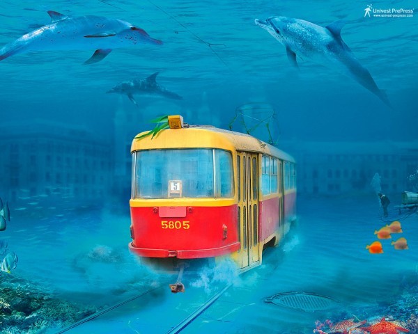 Александр Петруша