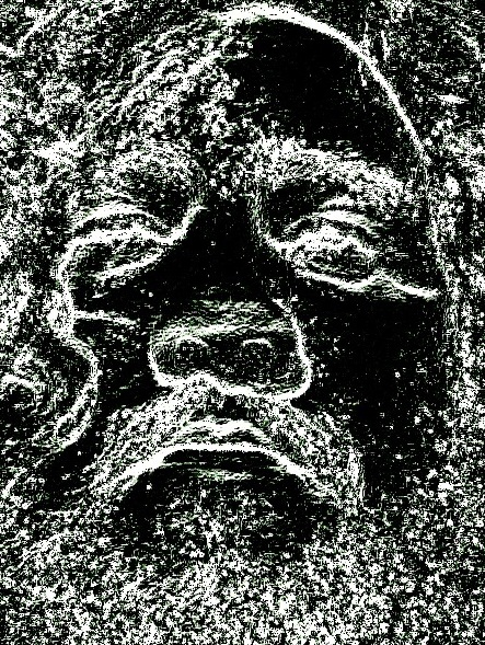 ������ ���������