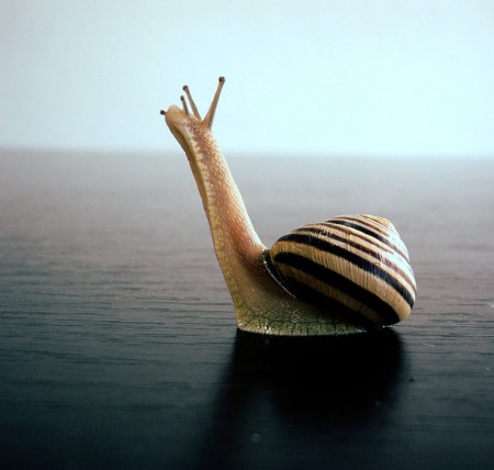 Юлия Трушникова