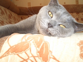 Ликуль Огнев