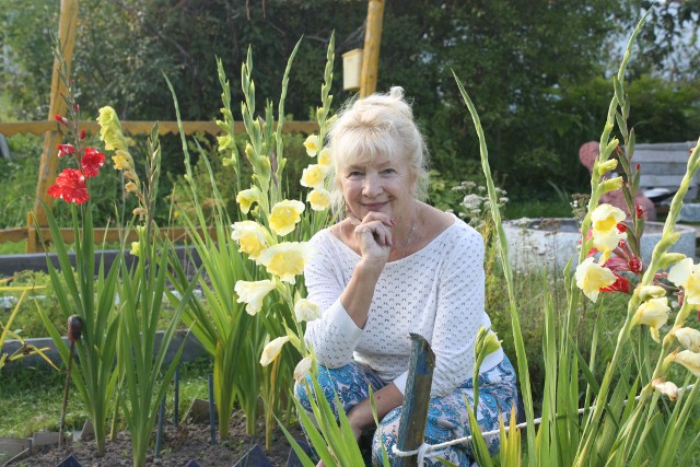 ��������� ��������