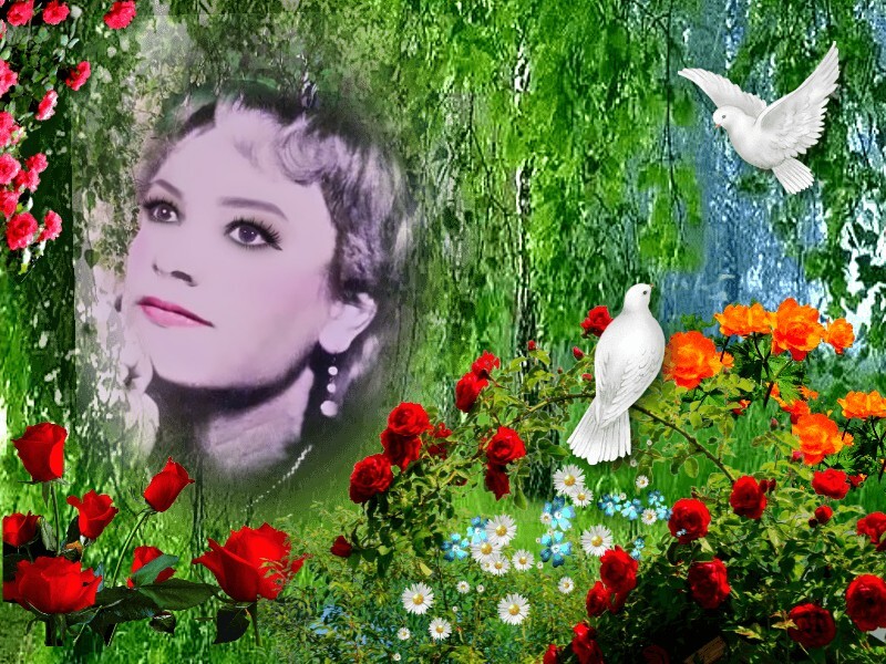 ������� ���������