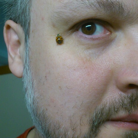 Анатолий Серков