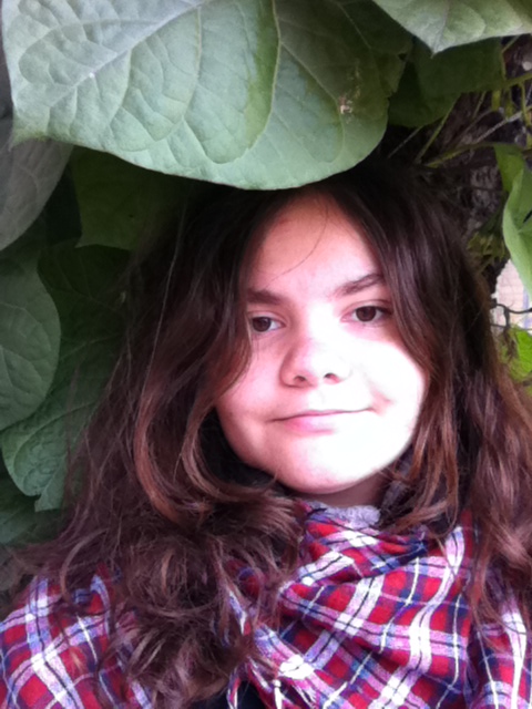 ���� �����