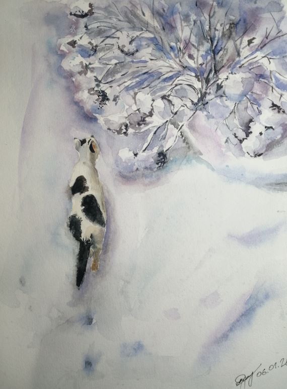 ����� ����