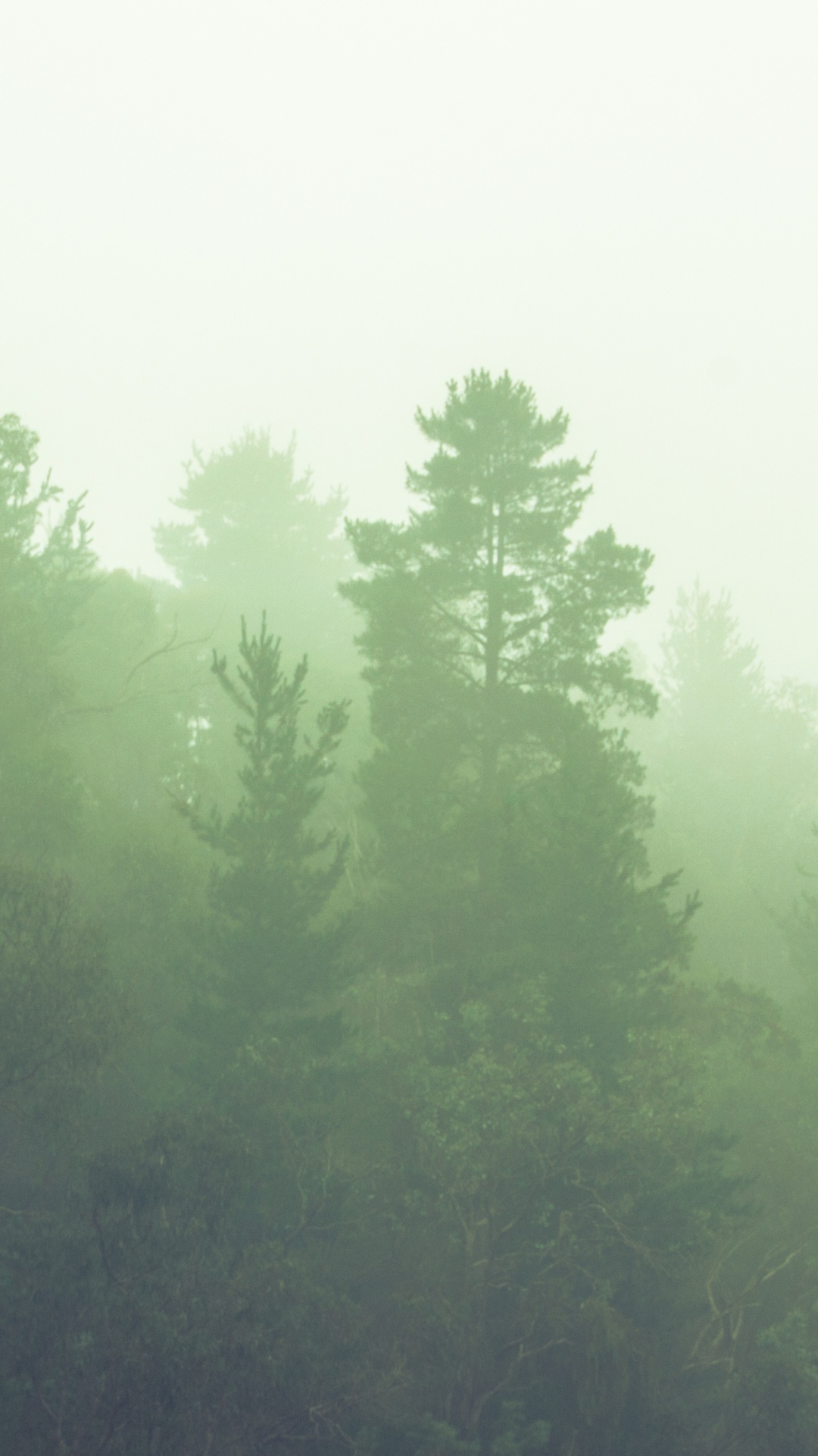 ������ �������� 7