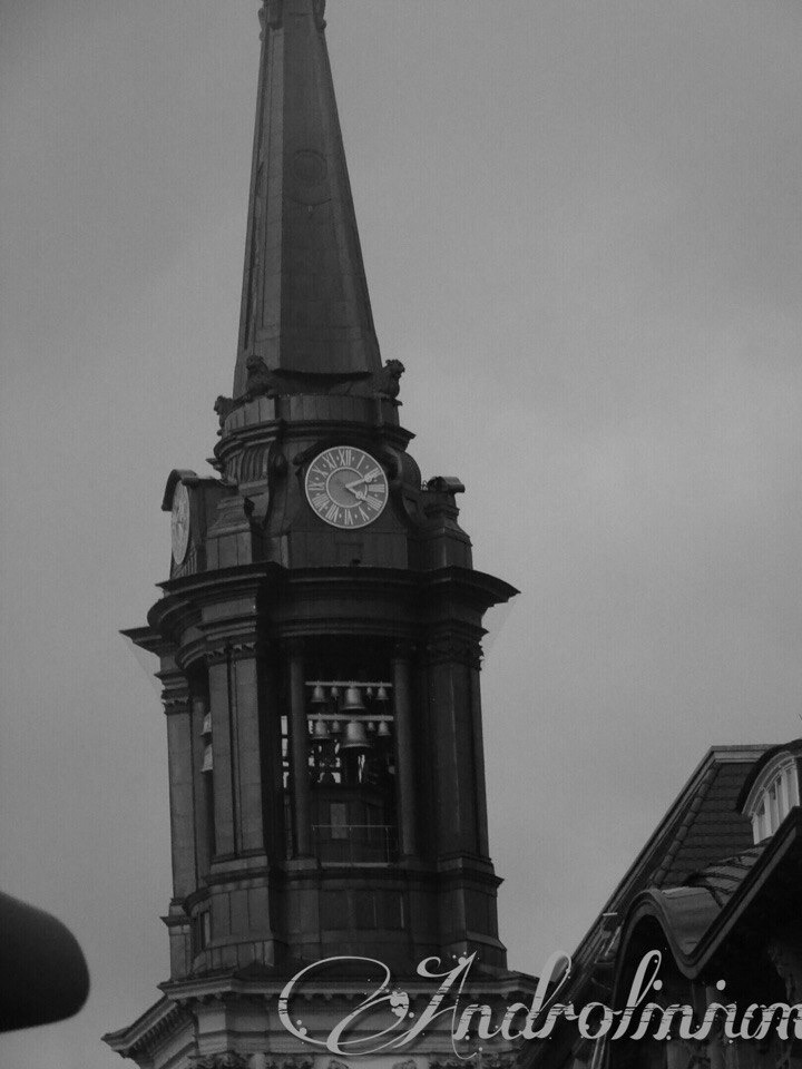 ���� �����������