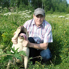 ������� ����