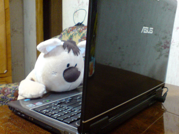 ����� ����