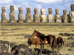 �������� ������