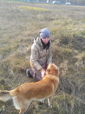 ������ ���������