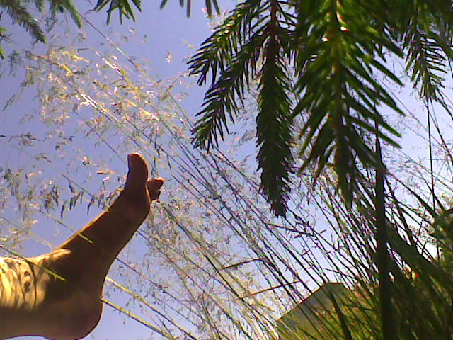 ������ ���