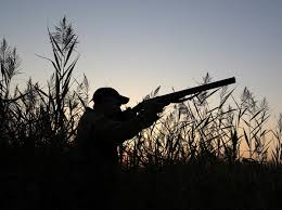 ������ �������