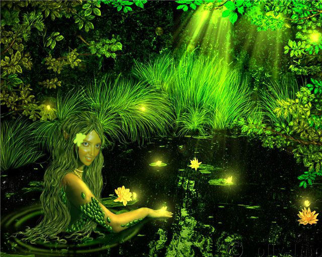 ����� ������