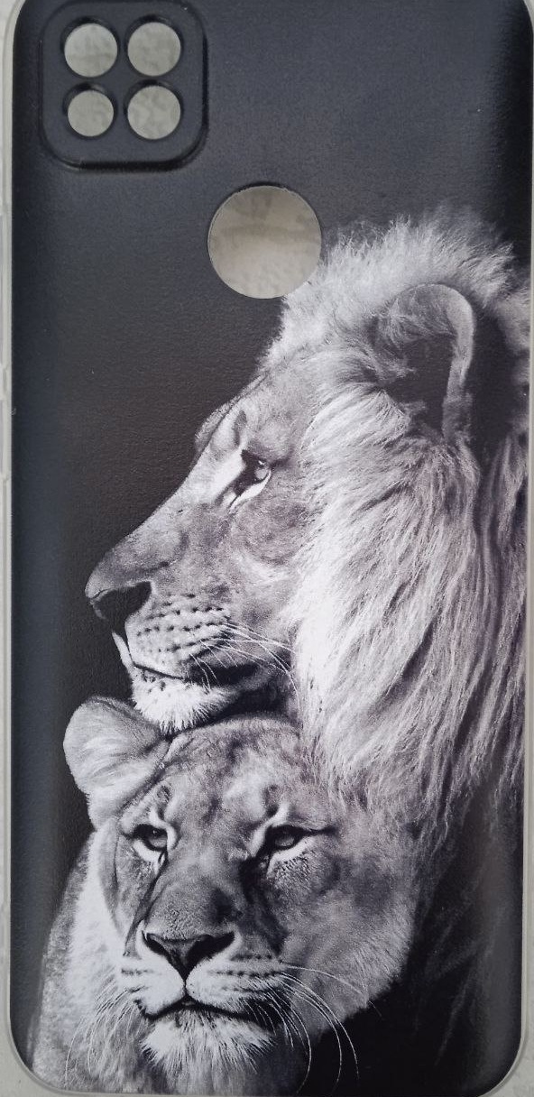 ���� ������