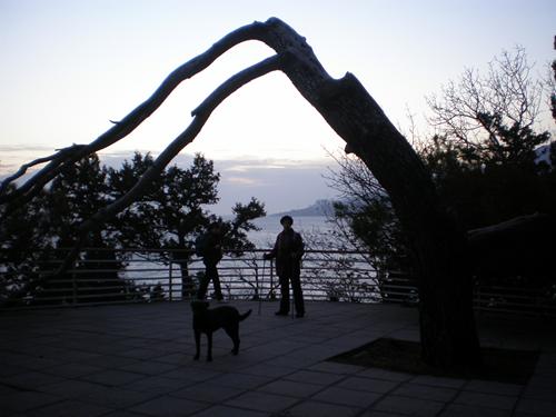 ���� ��������� 3