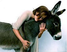 ���� �������