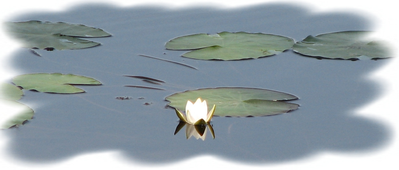 ���� ������