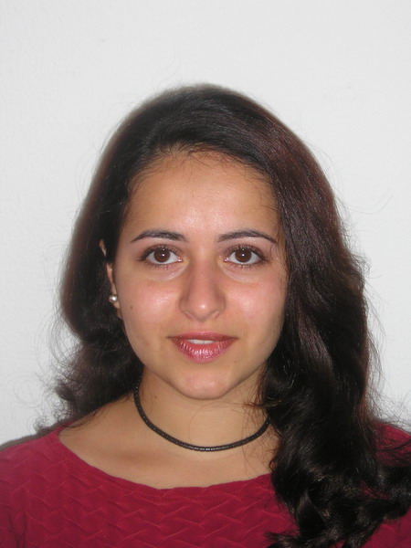 ���� �������