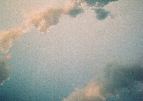 ������ �����������