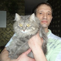 ��� �� ���