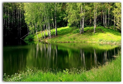 ��������� ����