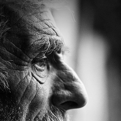 �������� �����