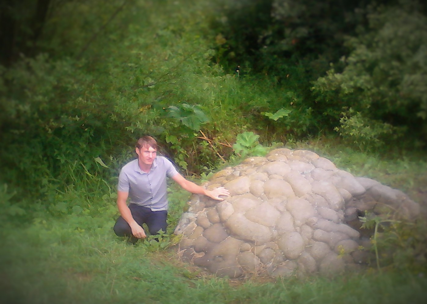 ������ �������