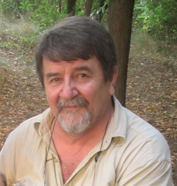 �������� ����