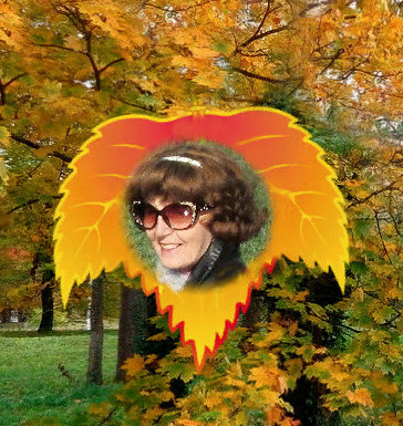 ���� ��������