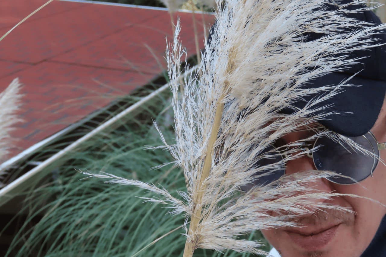 Александр Аит