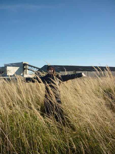 ���� �����