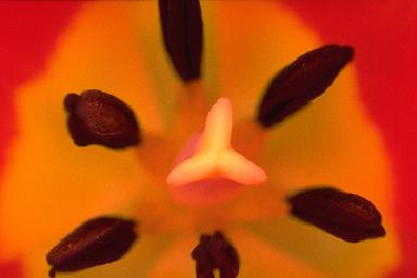 � ������