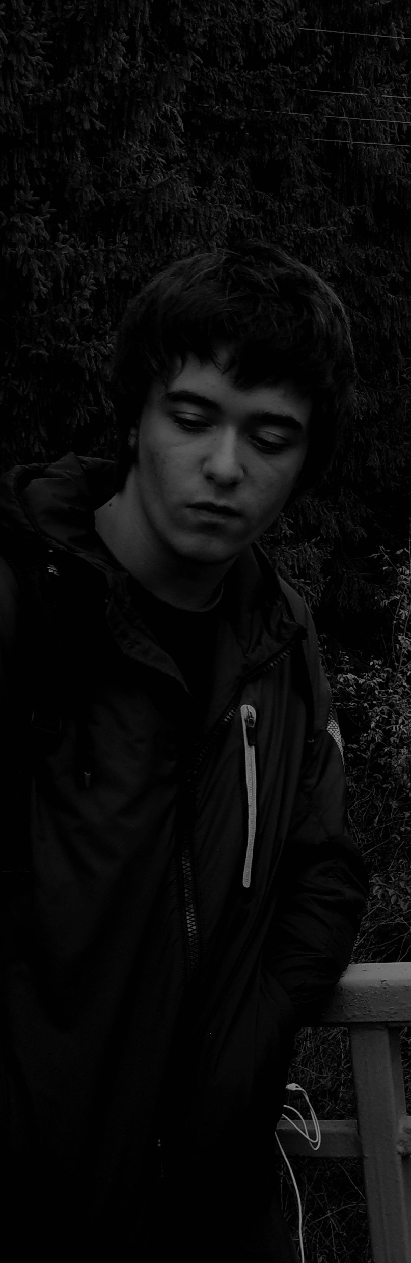 ������ �����-���������