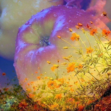 Тамара Лаврова