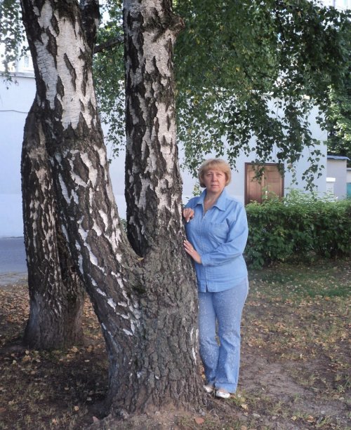 ������ ��������