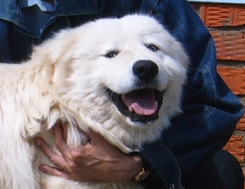 �������� �����