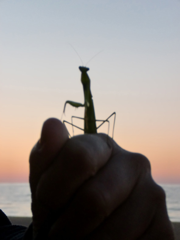 ������ �������� 2