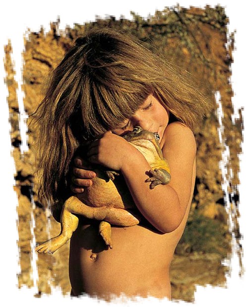 ��������� ���������