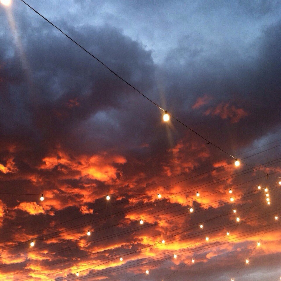 ����� ����