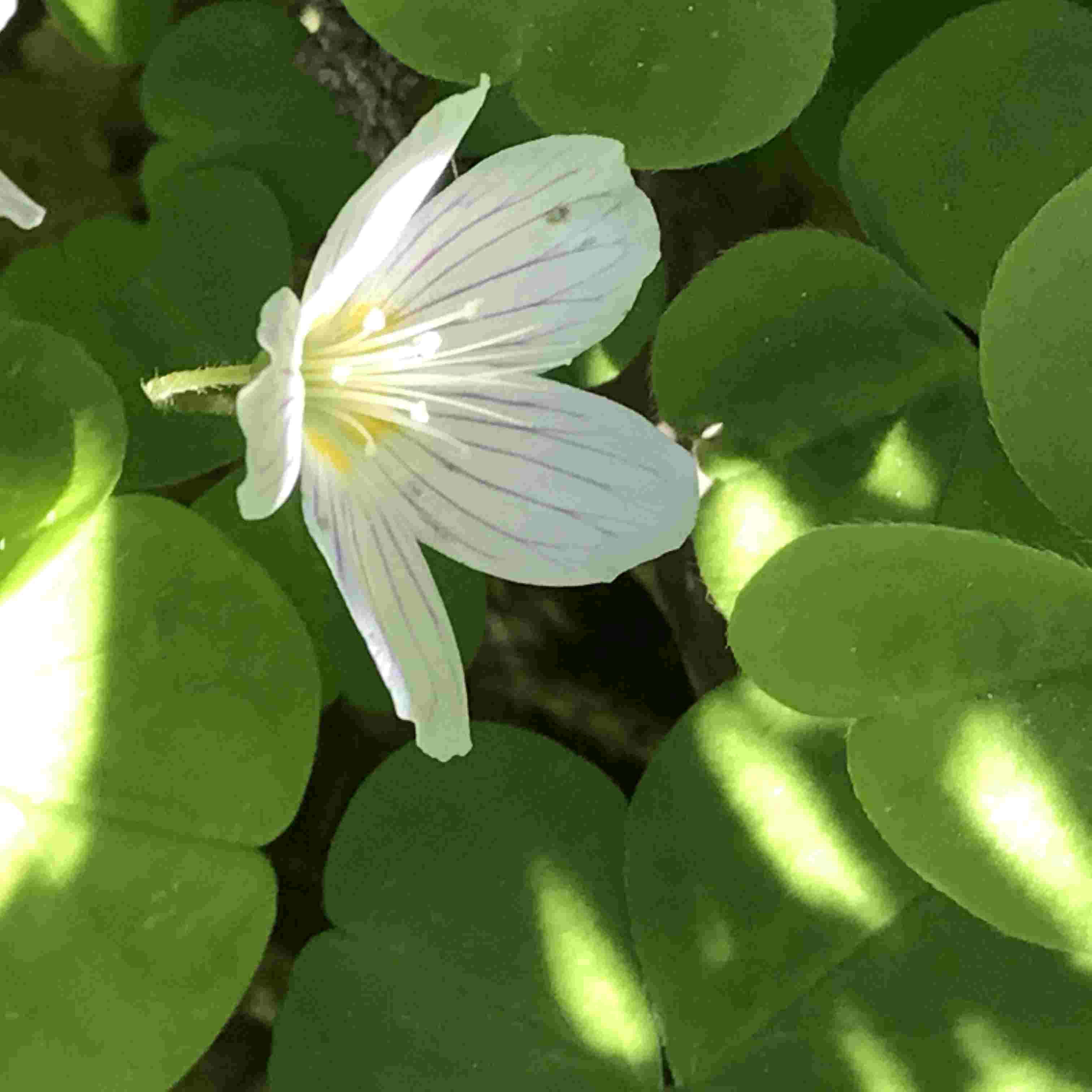 ������ 2