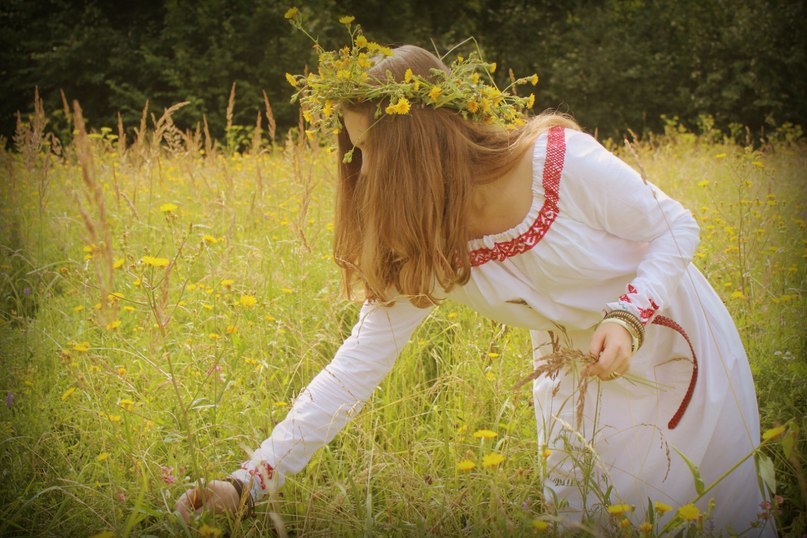 ���� ���������