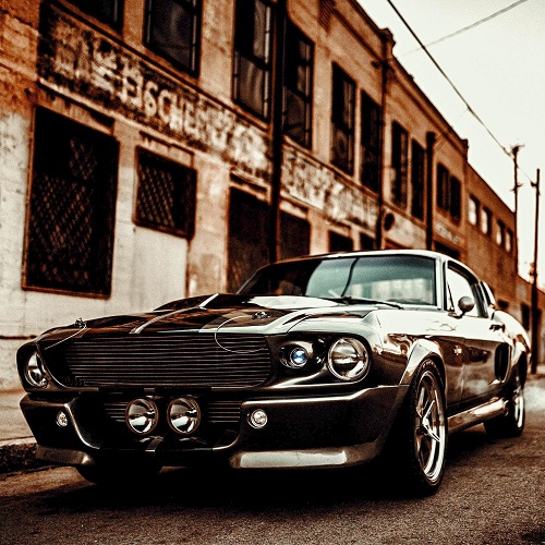 ���� ��������� �����