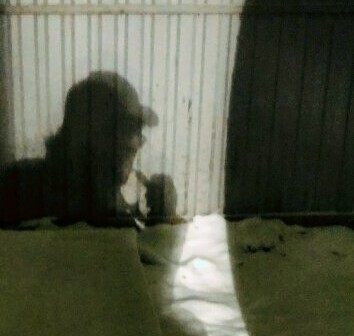 Юрий Отряскин