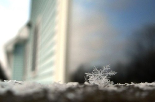 ����� ���������