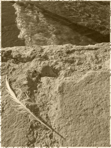 ������������