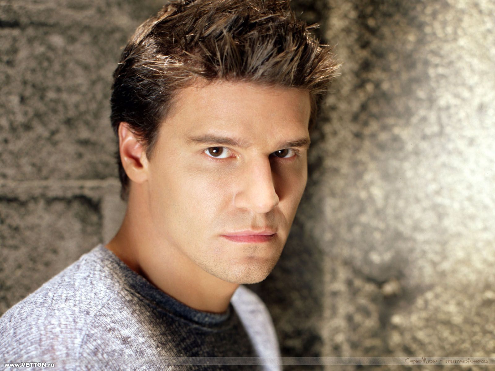 ���� ���������