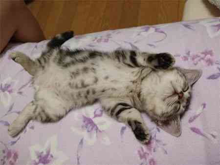 ���� �������