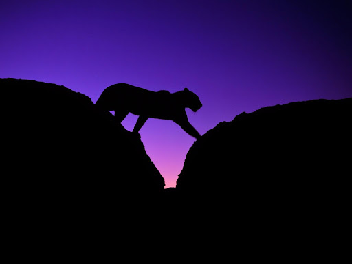 ������ ������ 2