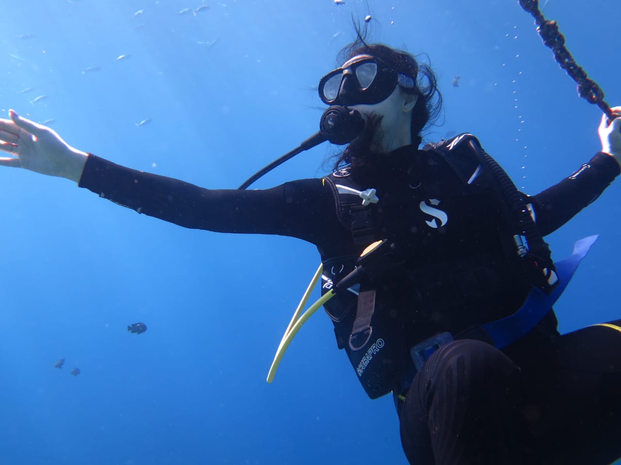 ������� ��������